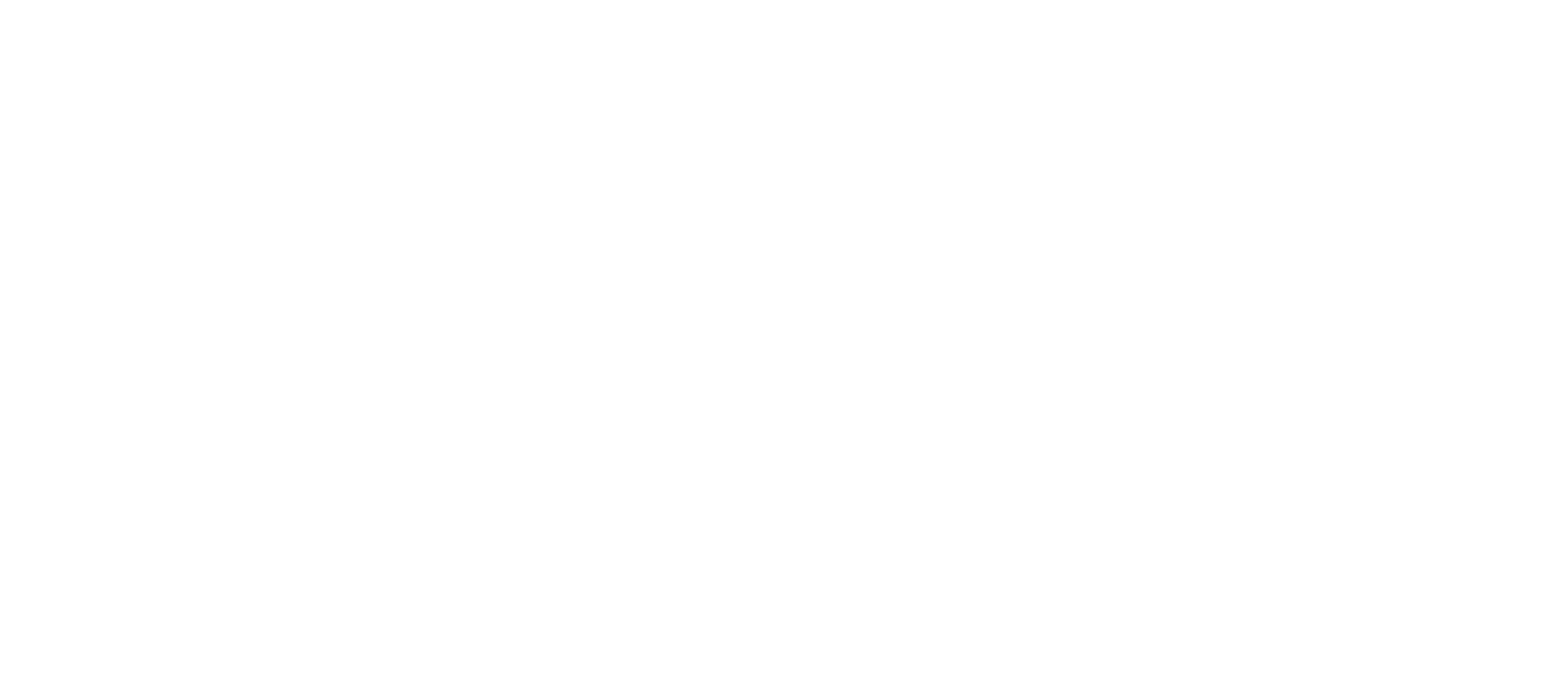 Carnage Music Logo